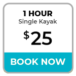 kayak rental Sarasota & Venice Florida